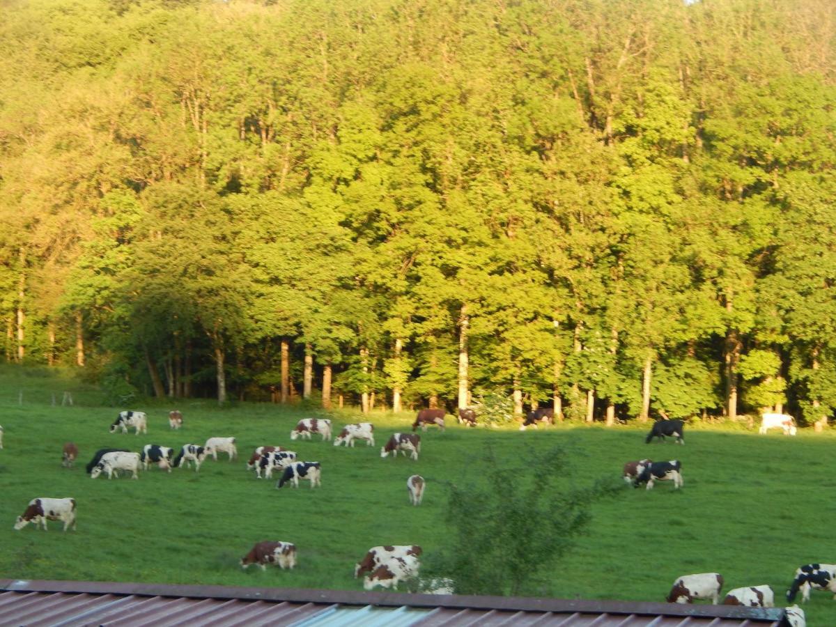 A La Source Du Saolon Bed & Breakfast Culmont Exterior photo